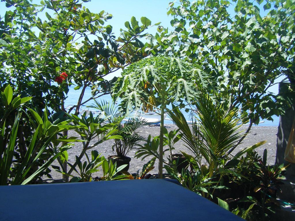 Alur * Amed